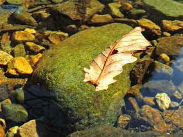 信息時(shí)代喜訊傳播，公共網(wǎng)絡(luò)積極力量展現(xiàn)風(fēng)采