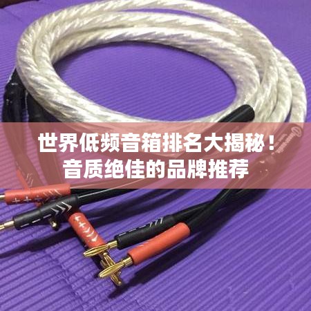 世界低頻音箱排名大揭秘！音質(zhì)絕佳的品牌推薦