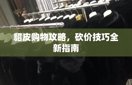 貂皮購物攻略，砍價技巧全新指南