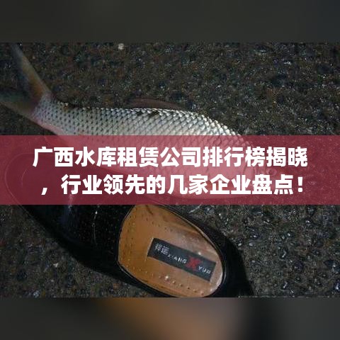 廣西水庫(kù)租賃公司排行榜揭曉，行業(yè)領(lǐng)先的幾家企業(yè)盤點(diǎn)！