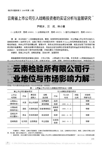 云南檢驗所有限公司行業(yè)地位與市場影響力解析