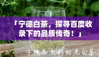「寧德白茶，探尋百度收錄下的品質(zhì)傳奇！」