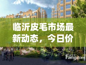 臨沂皮毛市場最新動態(tài)，今日價格走勢、影響因素一網(wǎng)打盡！