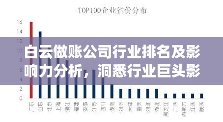 白云做賬公司行業(yè)排名及影響力分析，洞悉行業(yè)巨頭影響力