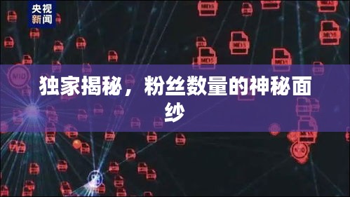 獨家揭秘，粉絲數(shù)量的神秘面紗