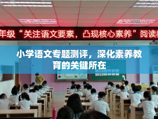 小學(xué)語文專題測評，深化素養(yǎng)教育的關(guān)鍵所在
