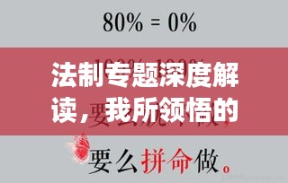 法制專題深度解讀，我所領(lǐng)悟的心得體會