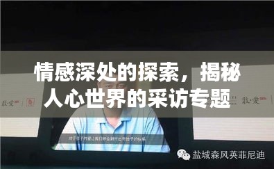 情感深處的探索，揭秘人心世界的采訪專題