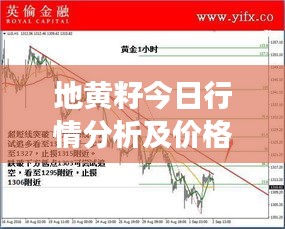 地黃籽今日行情分析及價格走勢解讀
