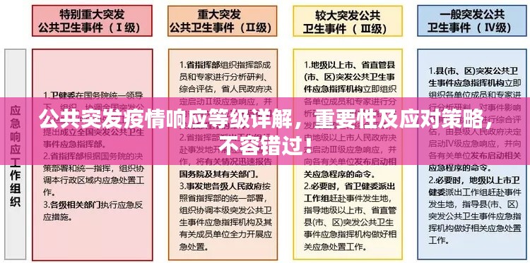 公共突發(fā)疫情響應(yīng)等級詳解，重要性及應(yīng)對策略，不容錯過！