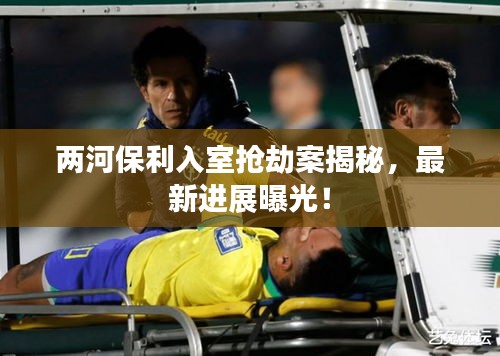 兩河保利入室搶劫案揭秘，最新進(jìn)展曝光！