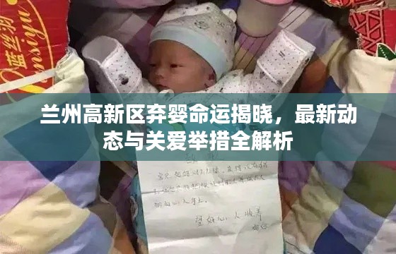 蘭州高新區(qū)棄嬰命運揭曉，最新動態(tài)與關(guān)愛舉措全解析