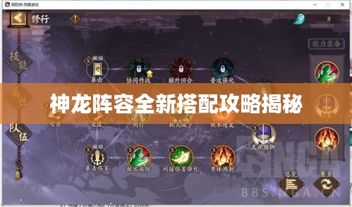 神龍陣容全新搭配攻略揭秘