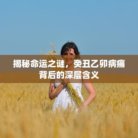 第5頁