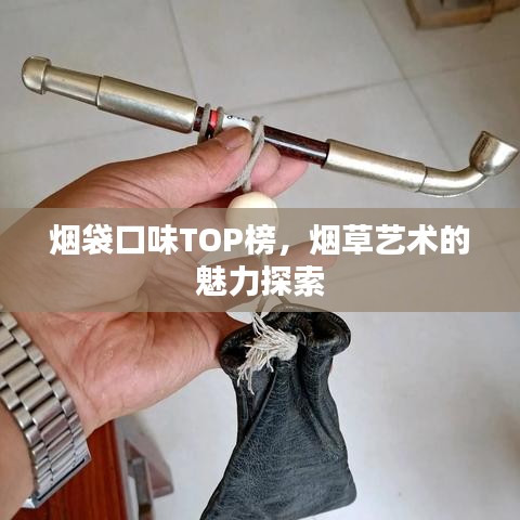 煙袋口味TOP榜，煙草藝術(shù)的魅力探索