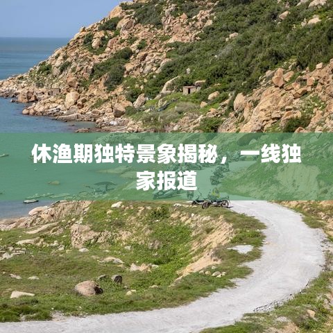 休漁期獨(dú)特景象揭秘，一線獨(dú)家報(bào)道