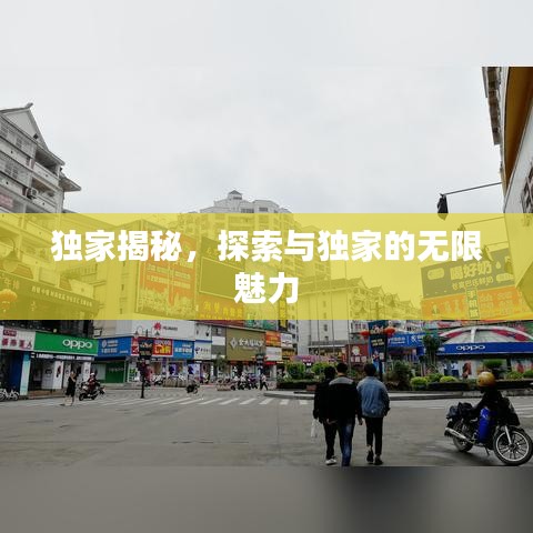 獨(dú)家揭秘，探索與獨(dú)家的無限魅力
