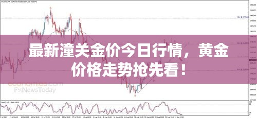 技術(shù)支持 第7頁