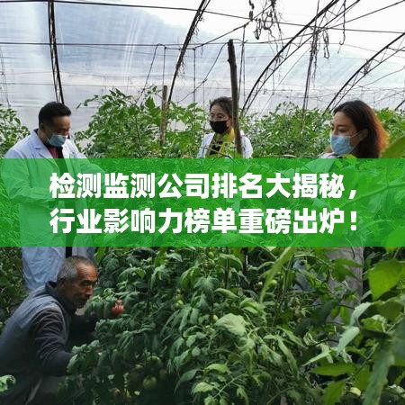 檢測(cè)監(jiān)測(cè)公司排名大揭秘，行業(yè)影響力榜單重磅出爐！